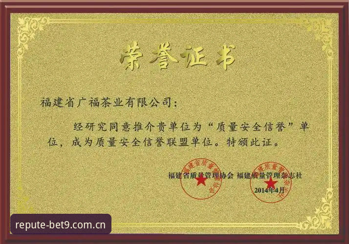 BET9优质体验评测 BET9十年信誉备用 vs 普通登录渠道:哪个更能保障账户安全?